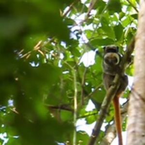 Meet your Posher, Destiny